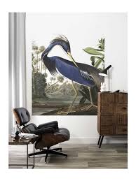 Kek Amsterdam Louisiana Heron Wallpaper