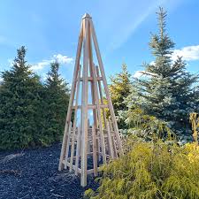 Cedar Large Sized Pyramid Trellis By