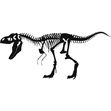 Dinosaur Wall Decals Animal Skeletons