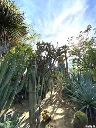 Palm Springs Ca World S First Cactarium