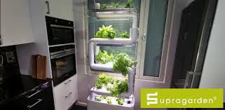 Green Wall Vertical Hydroponic Garden