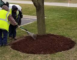 Midwest Groundcovers Llc