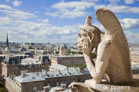 Shower Curtain Notre Dame The Stryge