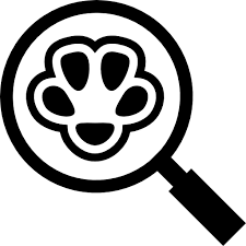 Magnifying Glass Dog Animal Feline