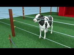 How Does An Electric Fence Work Zareba