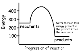 Thermochemical Equations Texas Gateway