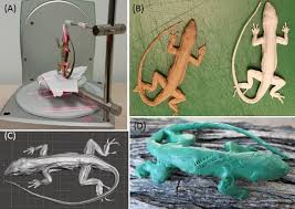 3d Printed Lizard Predation