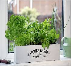 Balcony Box Wooden Pots Planter Seeds