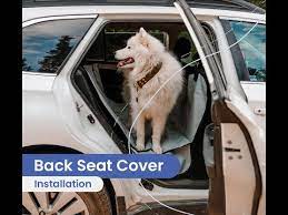 Dog Seat Cover Rear Seat Install Tips