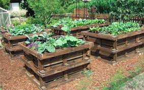 Wooden Pallets Ideas For Your Garden