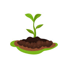 Flat Vector Icon Of Young Green Plant