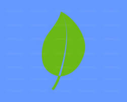Leaf Icon Leaf Svg Leaf Png Leaf Jpg