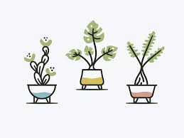 Plants Plants Potted Plants Plant Icon