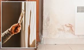 How To Clean Damp Walls To Make Mould