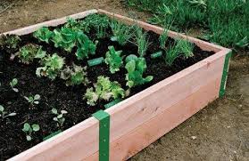 Sr Raised Garden Kit