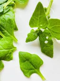 Starting Your Own Square Foot Garden