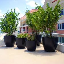 8 Large Fiberglass Planter Bowls For
