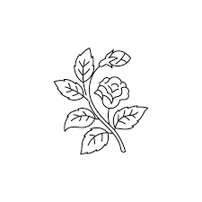 Garden Roses Plant Branch Line Icon