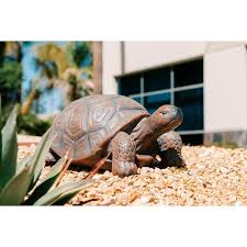 Walking Turtle Statue Indoor