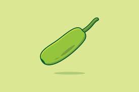 Green Bottle Gourd Vegetable Vector