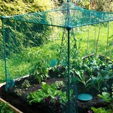 Gardenskill Fruit And Vegetable Garden