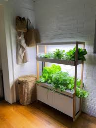 Rise Gardens Indoor Hydroponic System