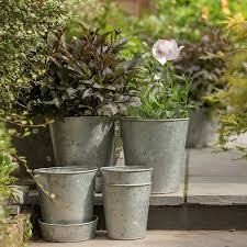 Buy Single Galvanised Pot Delivery By