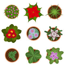 Flower Pot Top View Vector Images Over