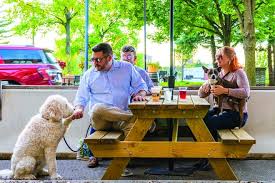 Best Beer Gardens New Breweries And