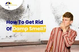 How To Get Rid Of Damp Smell Damp 2