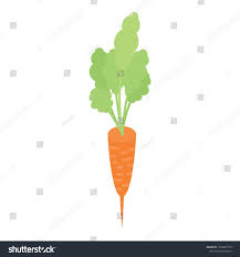 Fresh Garden Carrot Icon Isometric Of