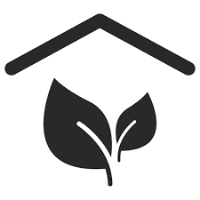 Indoor Plant Shade Cultivate Ecology