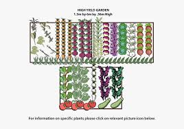 Vegetable Garden Png High Yield