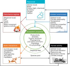 Typology For Earth S Ecosystems