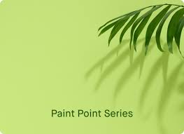 Nippon Paint Sri Lanka