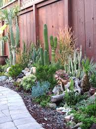 Tips For Planting A Succulent Garden