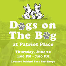 Dogs On The Bog At Patriot Place