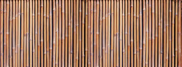Bamboo Sticks Images Browse 77 777