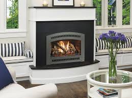 Traditional Premium Gas Fireplaces 564