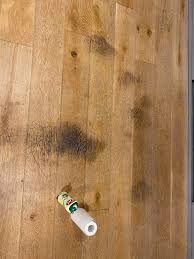 Dog Stain On Hardwood Floor