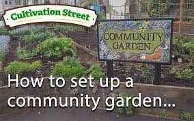 How To Set Up A Community Garden