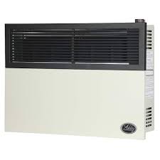 Ashley Hearth S 17 000 Btu Direct Vent Natural Gas Heater