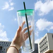 24oz Double Wall Plastic Tumbler With