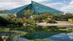 Rio Grande Nature Center Bosque Loop