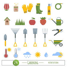 Icon Set For Organic Fruit Vector
