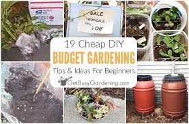 Diy Tips To Gardening On A Budget
