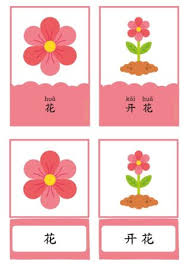Plants Chinese Learning Activities