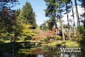 Ubc Nitobe Japanese Garden Vancouver