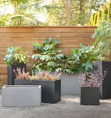 Modern Fiberstone Planter Rejuvenation