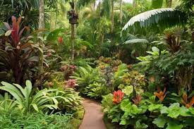 A Path Through A Tropical Garden With A